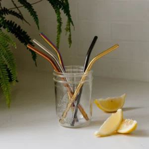 Stainless Steel Straw - Straight, Bent, or Boba Style from the Zero Waste Store